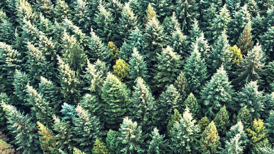 IOC and DOW reward climate leadership in sport