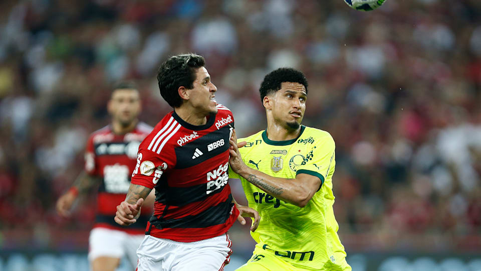 Campeonato Brasileiro 2024 todos os resultados da competição