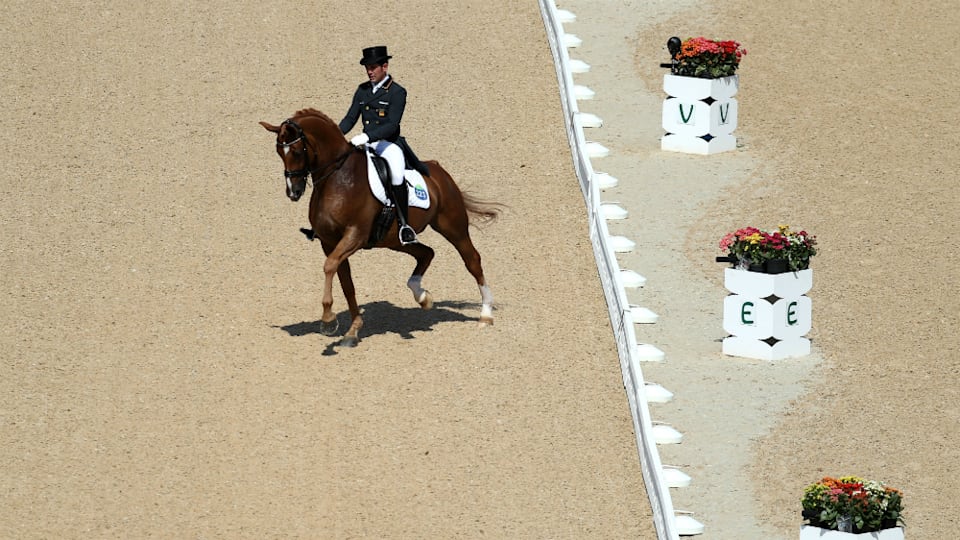 馬と一体となって優雅な舞を競う馬場馬術...技の正確性と芸術性が見どころ