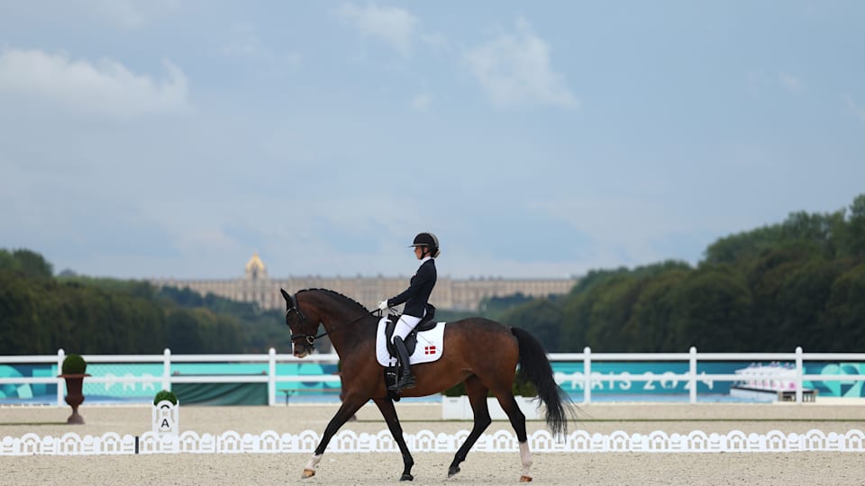 Equestrian Paralympics - Figure 1