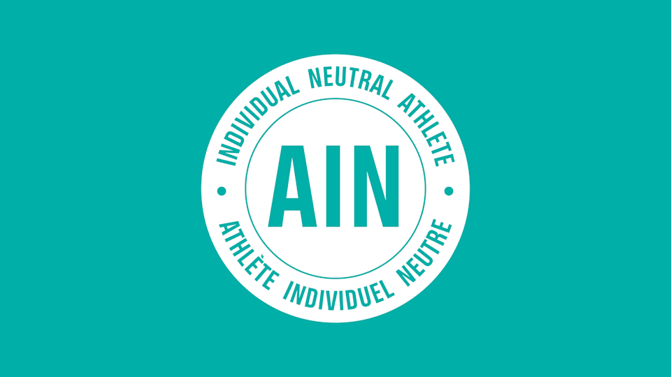 AIN-flag-PANTONE2399