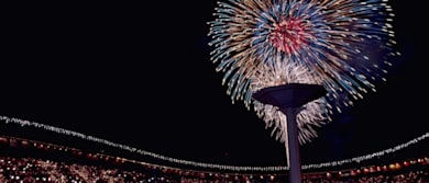 ソウル1988 夏季オリンピック - アスリート、メダル、結果