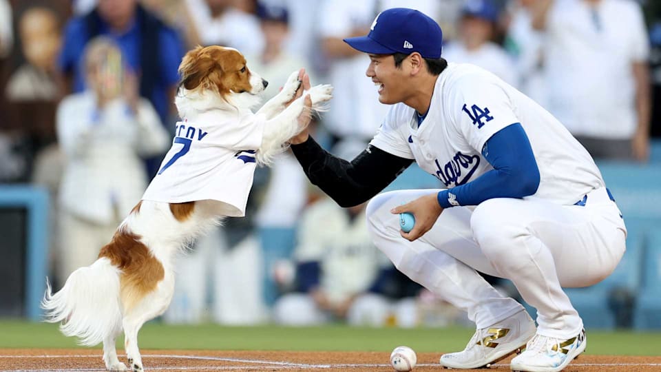 ドジャース大谷翔平、4年連続MVP最終候補に選出…史上2人目の両リーグ