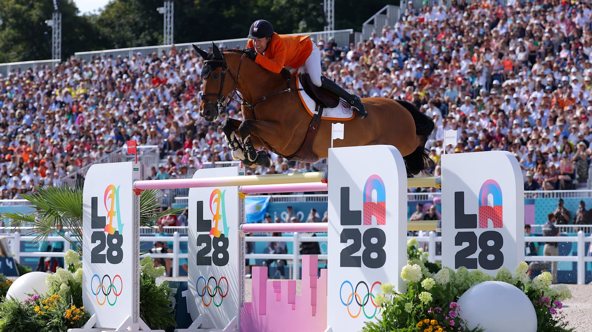 障害馬術 スポーツ名著新訳 障害馬術 : スポーツ名著新訳 Amazon.co.jp