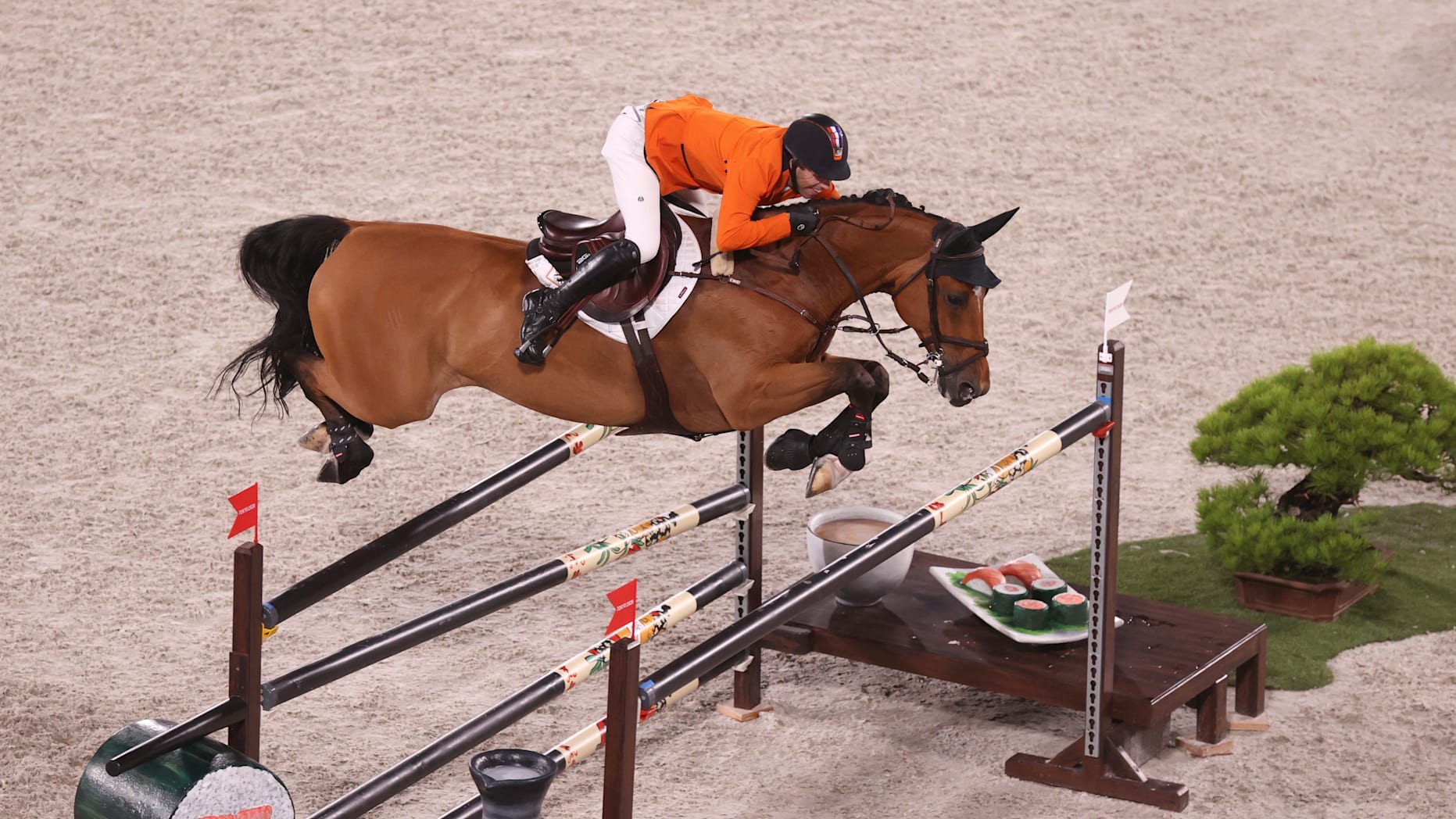 Partez pour un stage de saut d'obstacle en Pologne