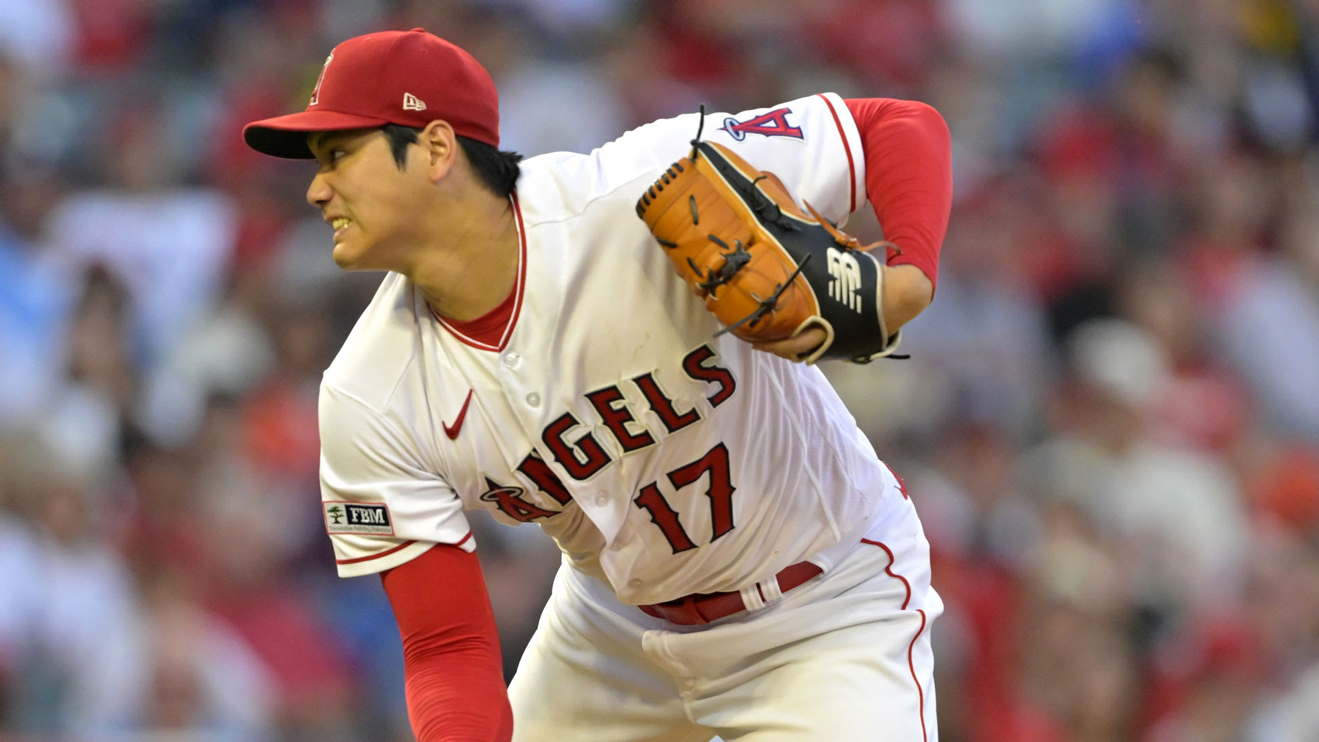 【匿名配送】Angels 大谷翔平　ボール２つセット