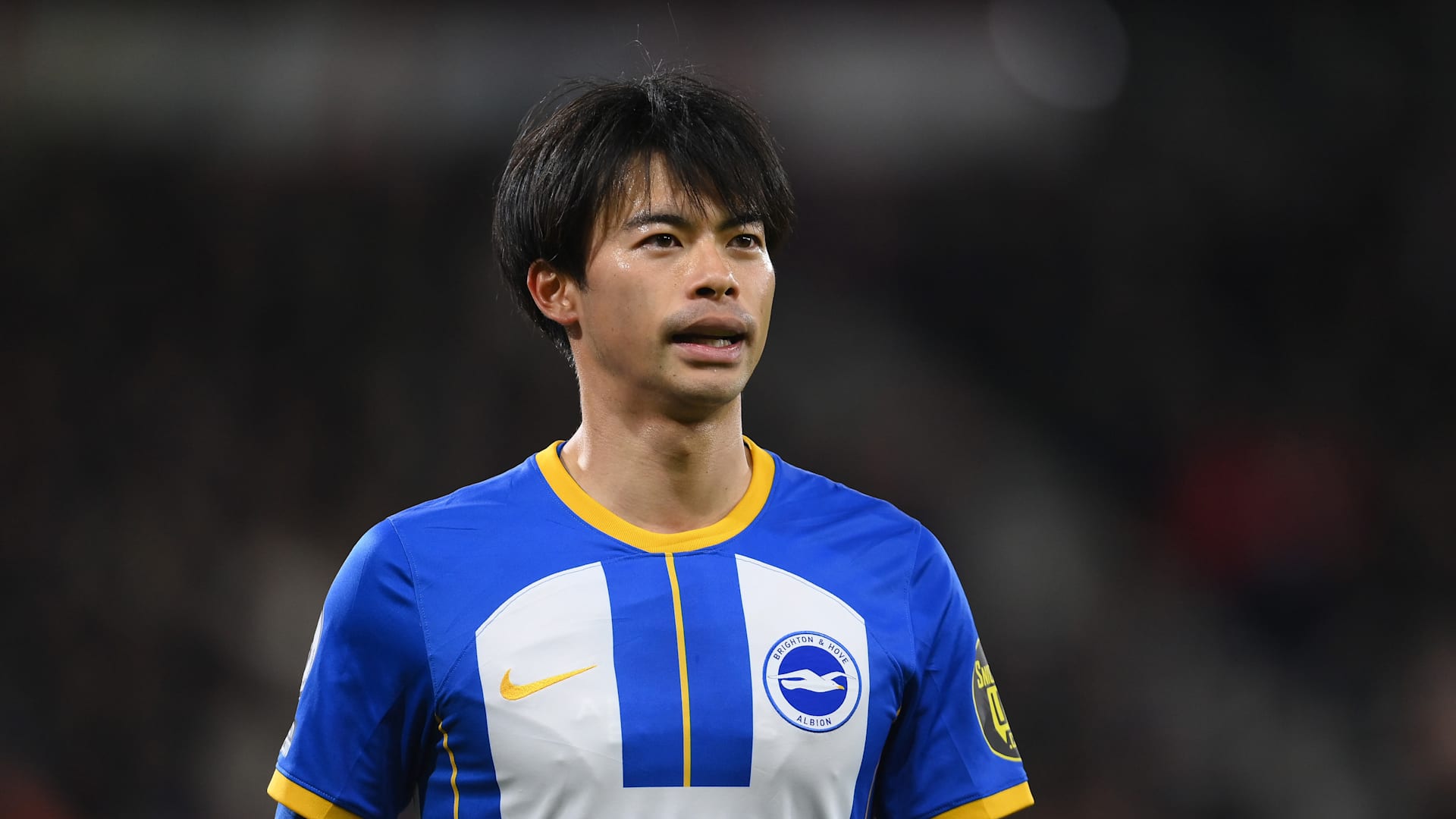 タグ付きブライトン正規品三笘薫23/24 ブライトン 2023-24 日本代表 三笘薫