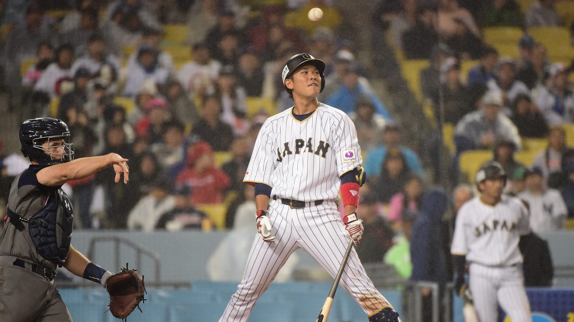 NPB news: June 13, 2023