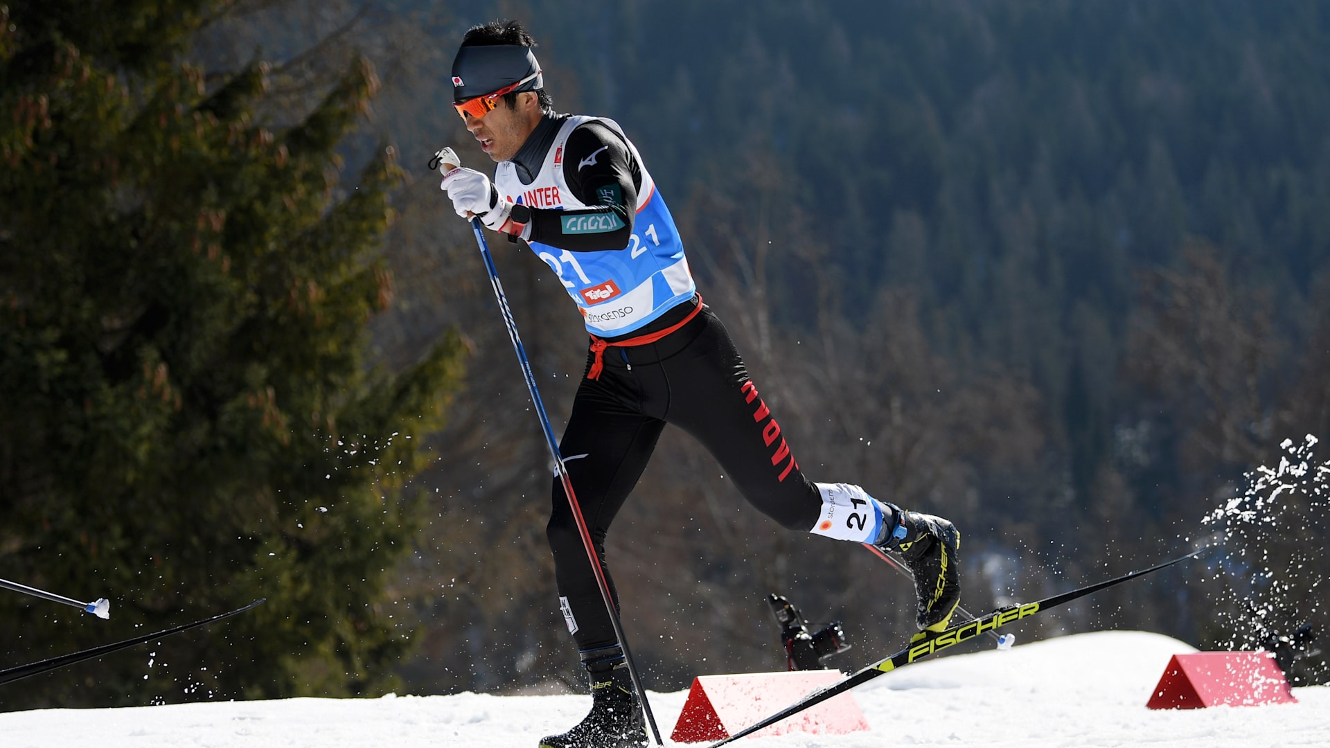 ノルディックスキー世界選手権、クロスカントリー男子50kmフリー