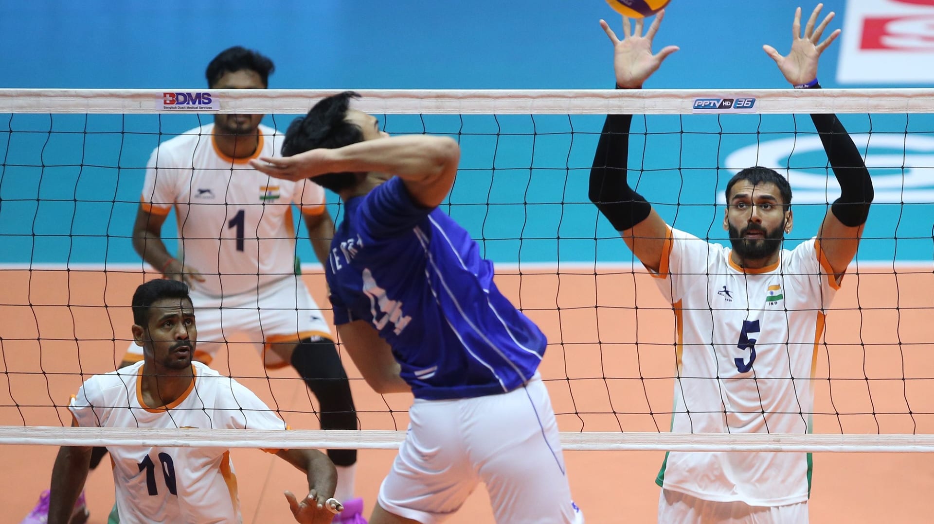 asian volleyball live stream