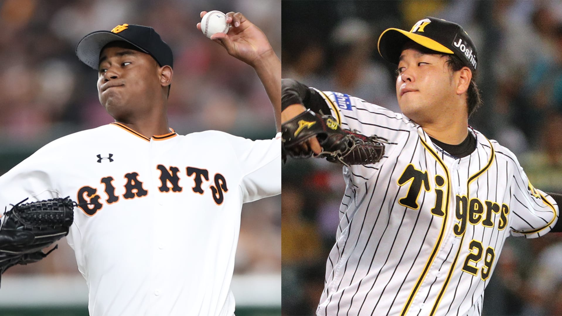 2017 クライマックスシリーズ 公式 試合球 2017 クライマックスシリーズ 公式 試合球 2017 クライマックス