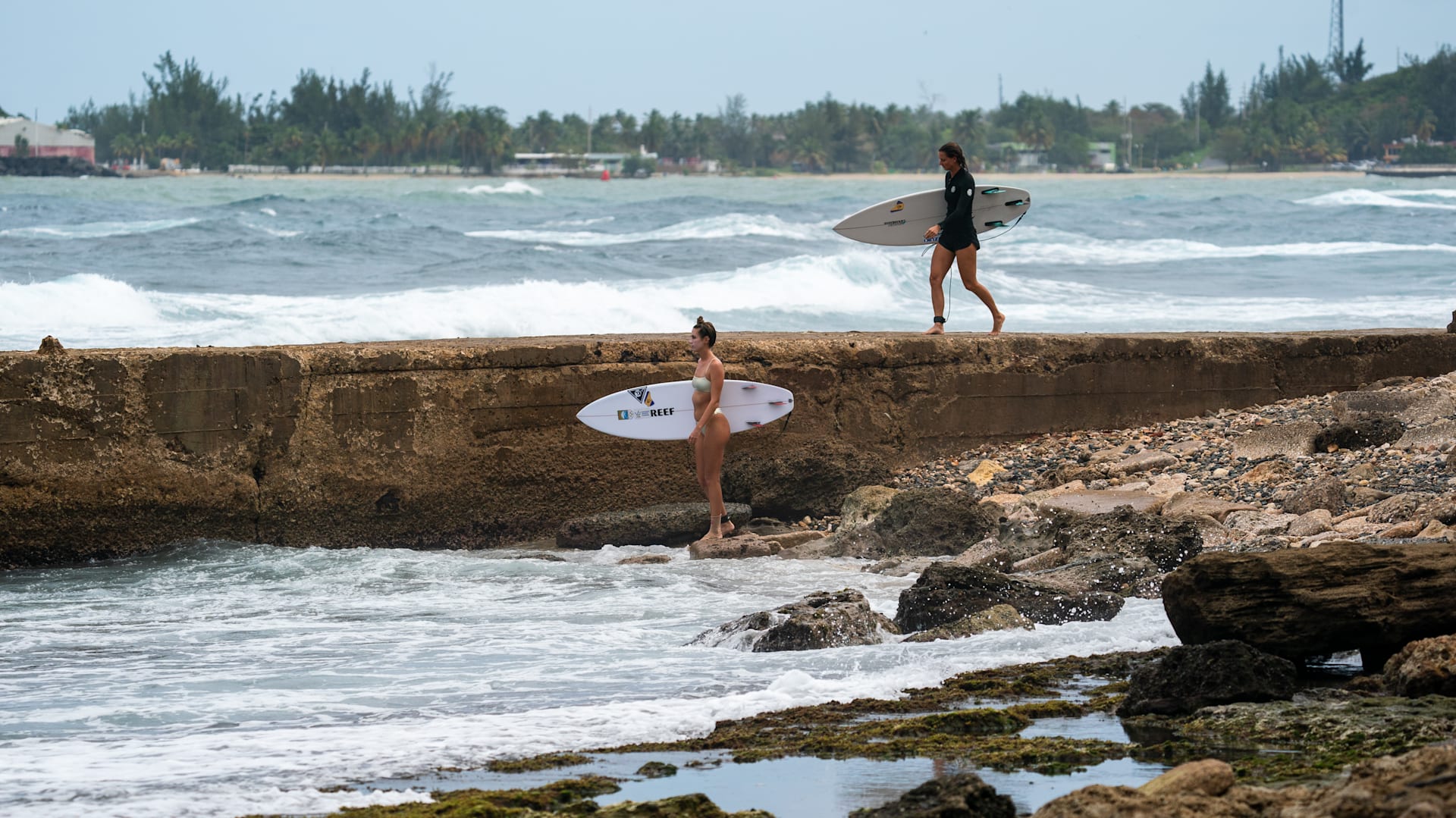 Sidewalk Surfer on Instagram: Always love catching up with past