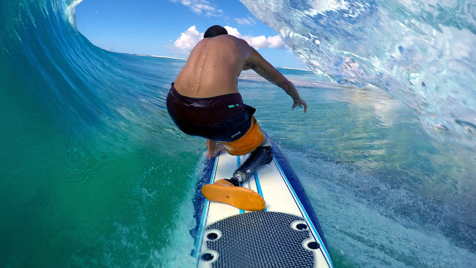 Surfer Dudes With Pets. – Island Surf Company