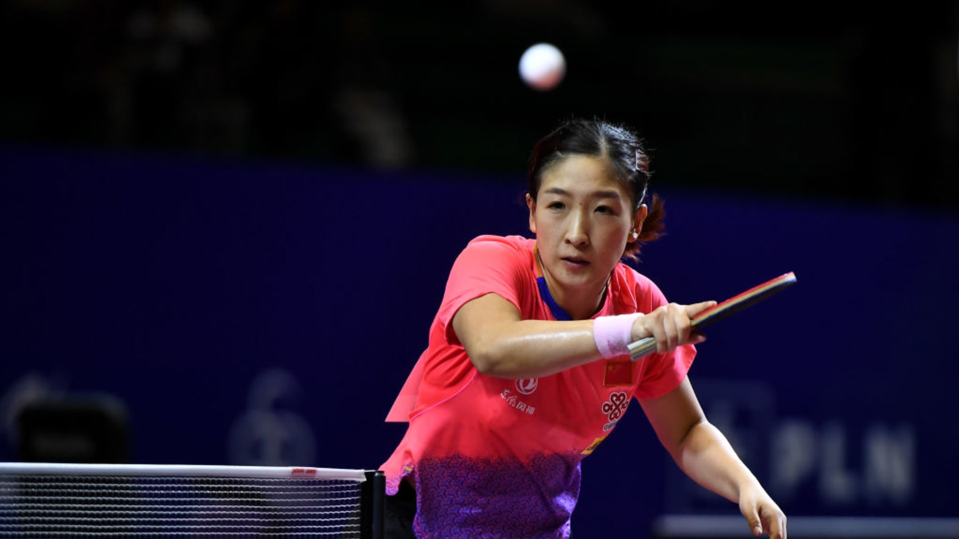 廃盤）バタフライ劉詩文ZLF元世界ランキング34位松平賢二さん