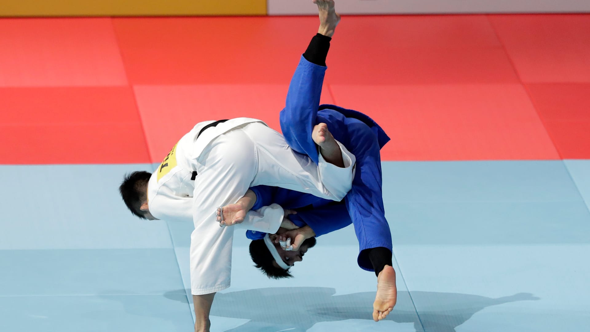 judo video streamen