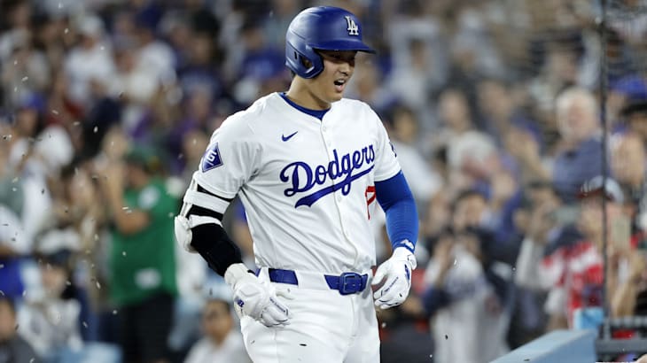 ドジャース 大谷翔平 2024年6月24日 実使用ボール vs CWS クロシュ