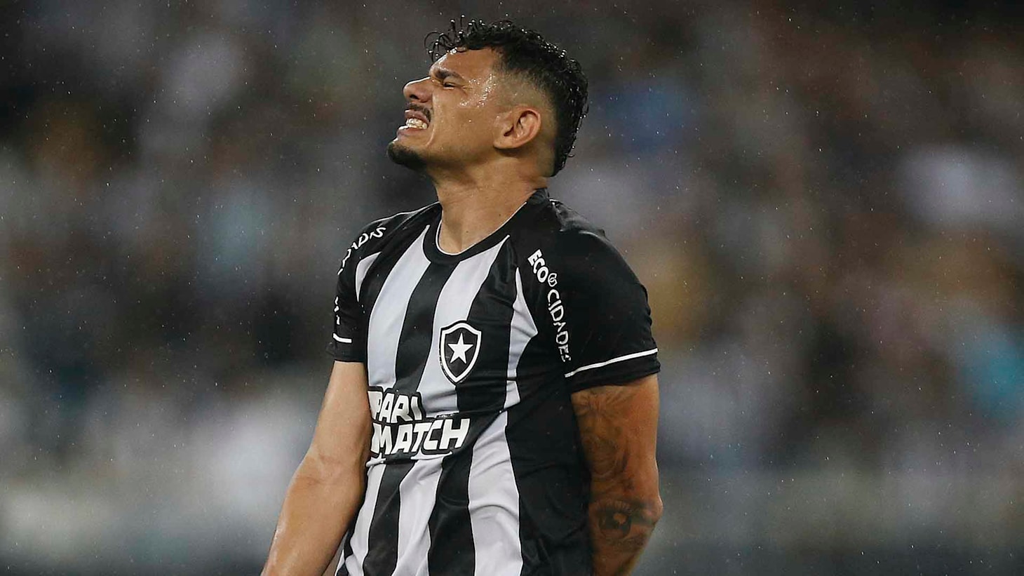 Todos os jogos do Botafogo em 2023, botafogo