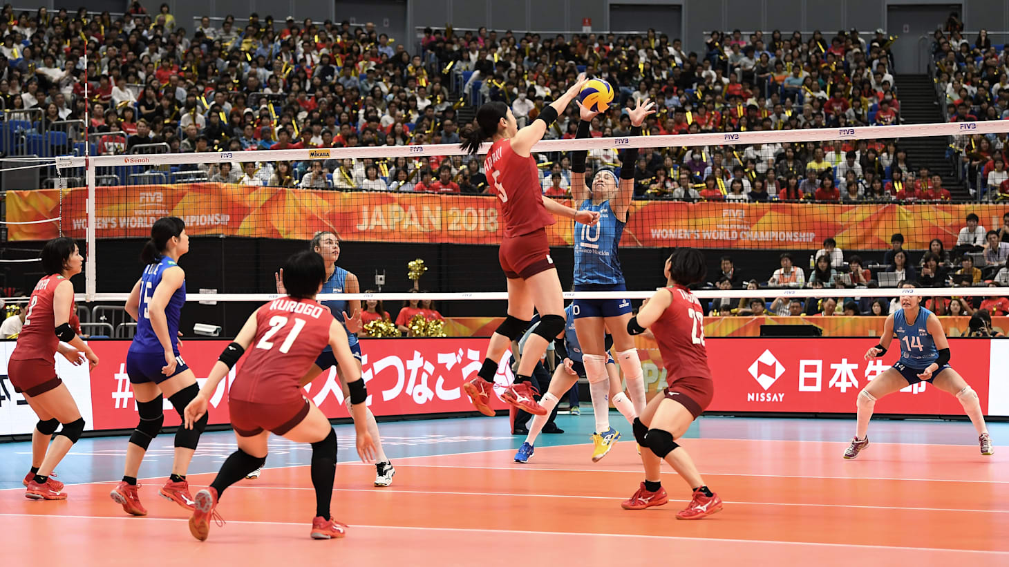 asian volleyball live stream