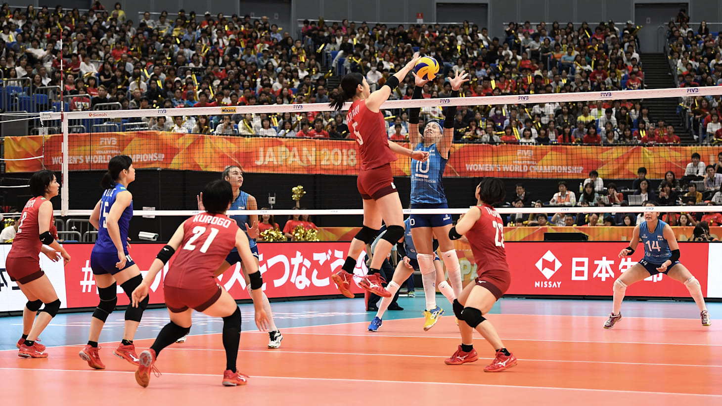 korean volleyball league live stream