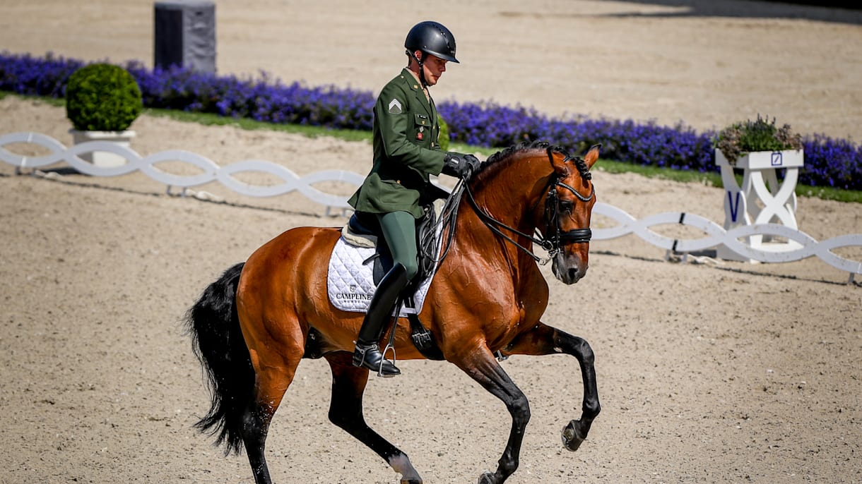 Entenda como o cavalo se movimenta – Adestramento Brasil