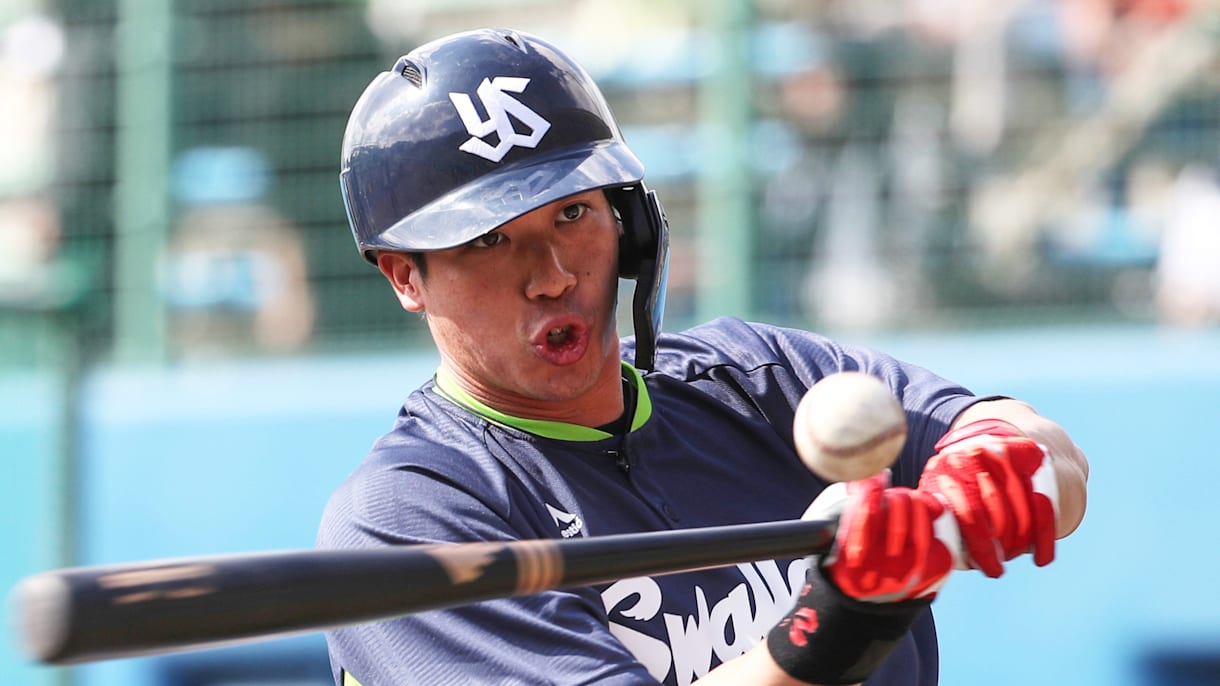 プロ野球公式戦で使用】ヤクルトスワローズ 稲葉篤紀選手折れたバット