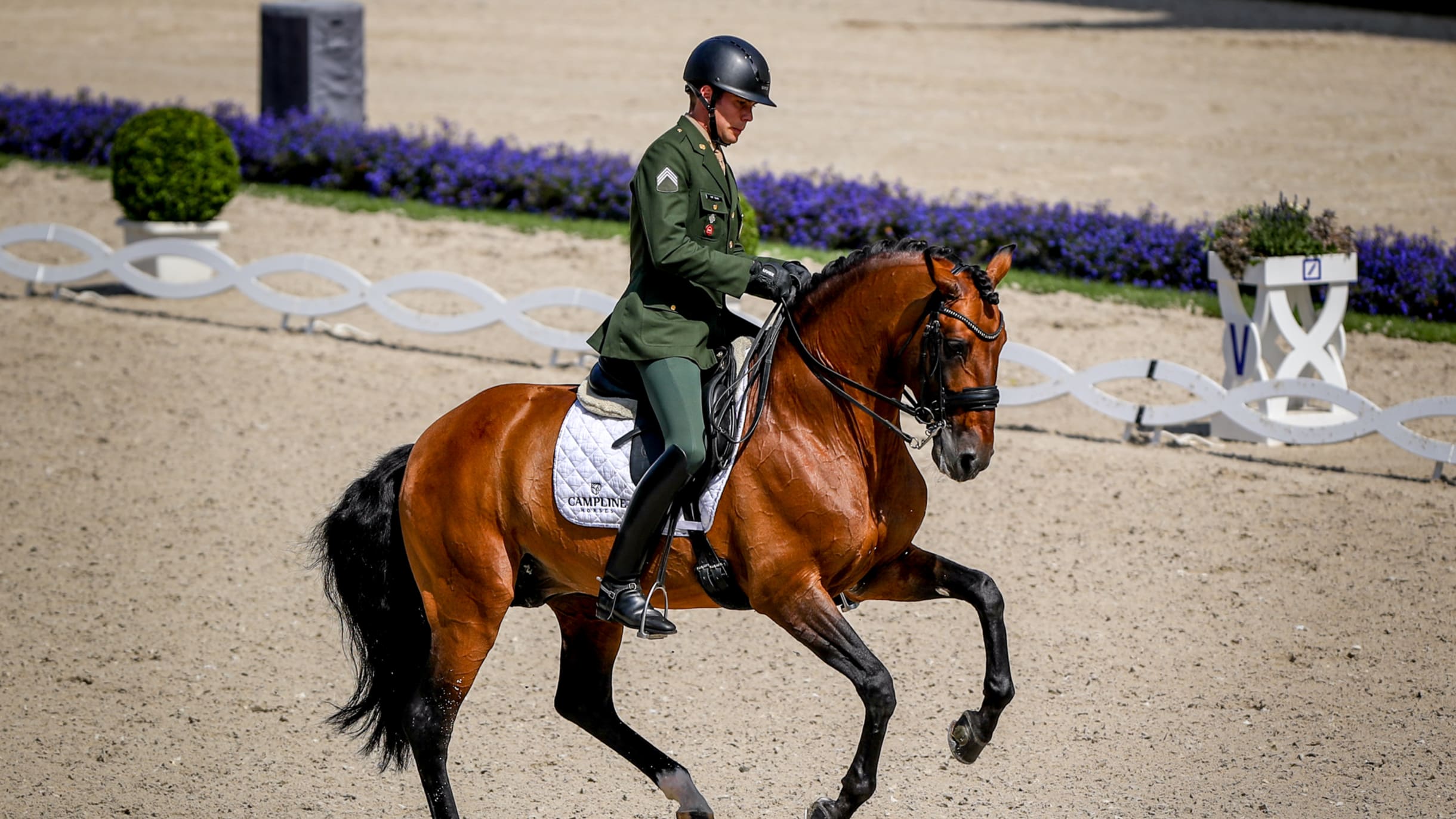 Diferença entre Andar a Cavalo e Montar Cavalo :: Dressage Arte Equestre