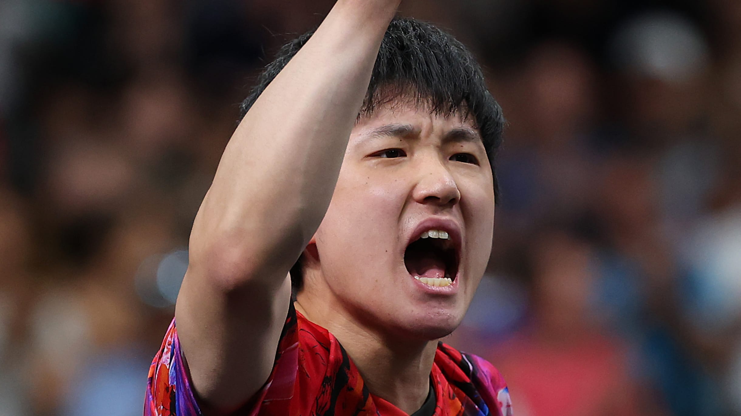 卓球WTTチャンピオンズ横浜2025ドロー：張本智和、早田ひな、伊藤美誠 