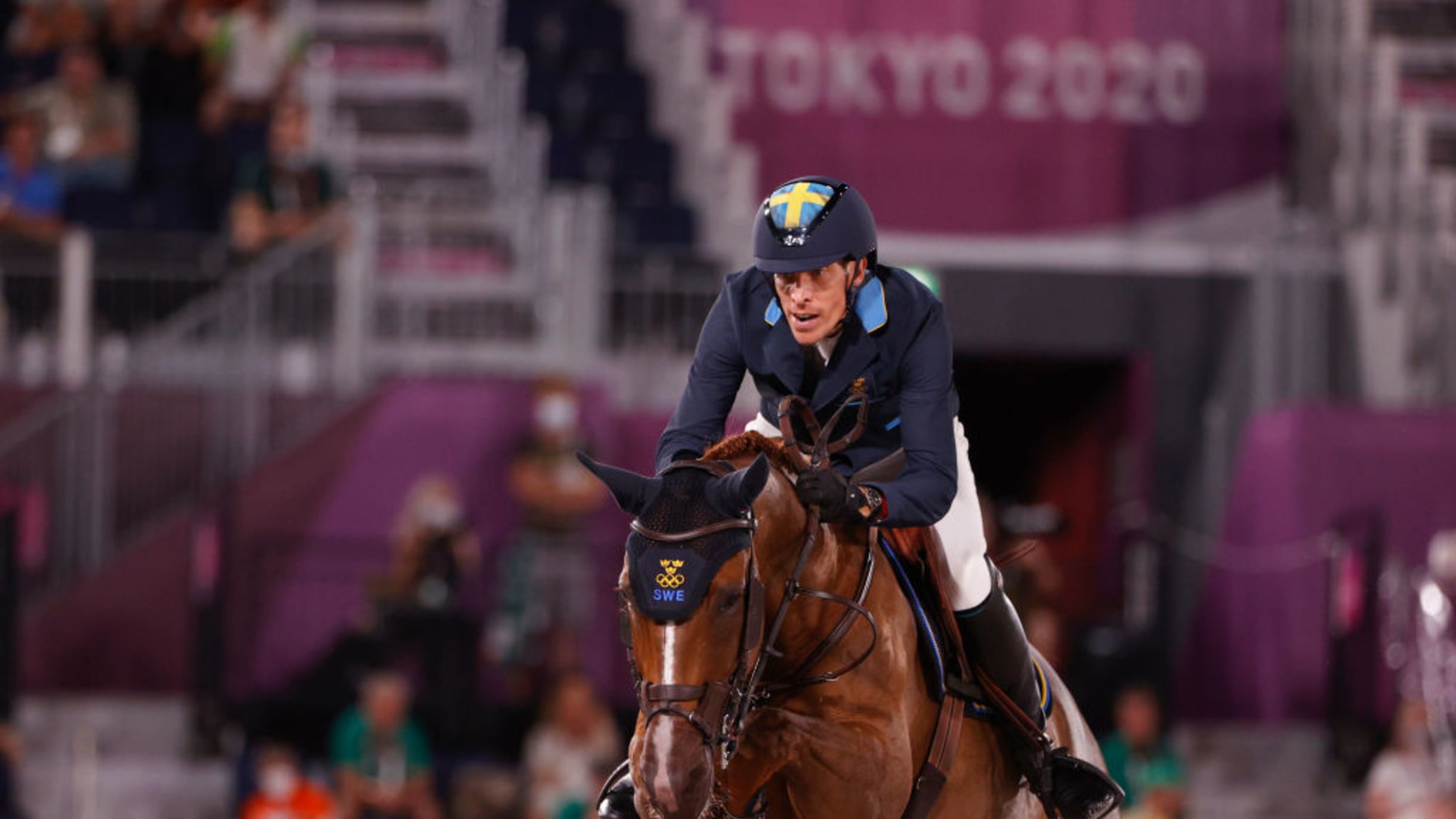 esportes equestres, hipismo, hipismo, cavalo com jóquei saltando