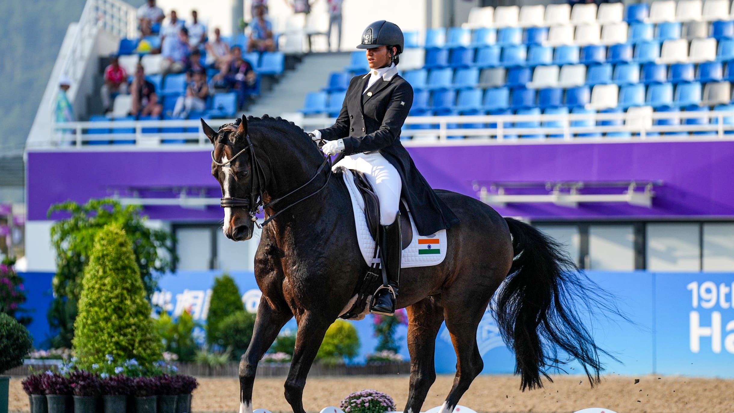 Equestrian: Know all about sport in which India won historic Asian Games  gold - Hindustan Times
