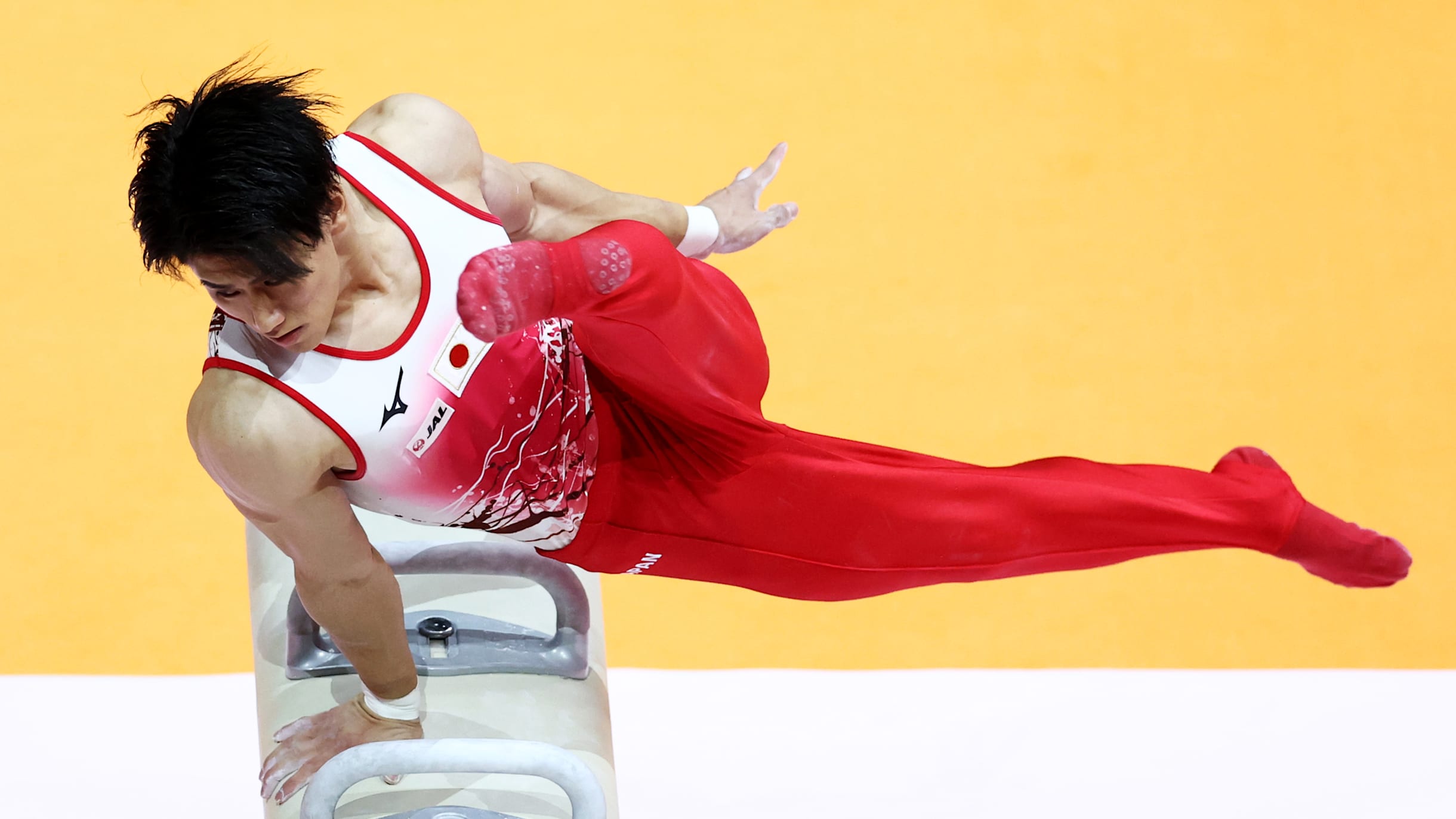 【anoniimu】2019年全日本体操(個人)　約19000枚 全日本個人総合選手権2026丨結果速報・順位・成績一覧
