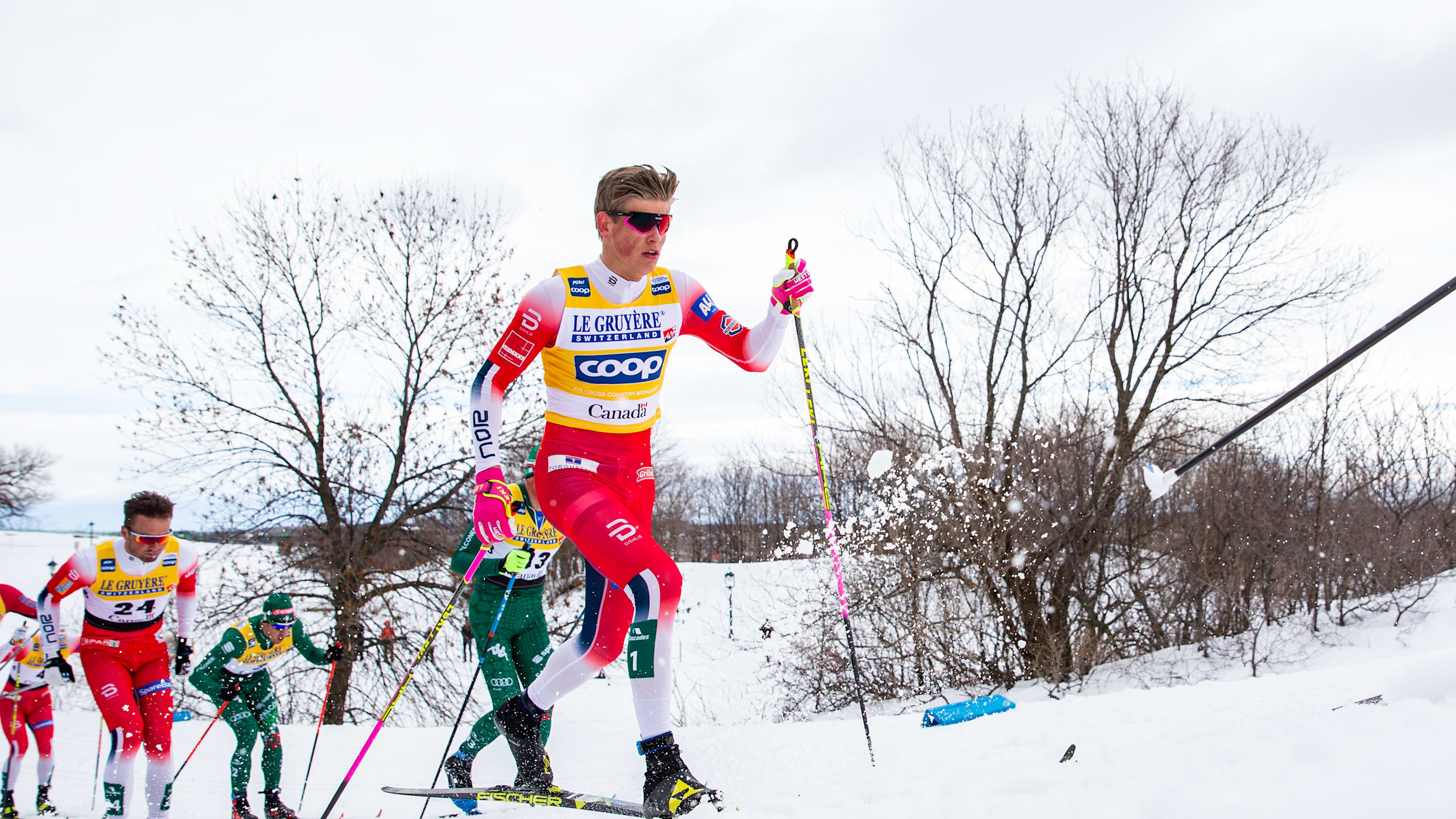 Cross country skiing