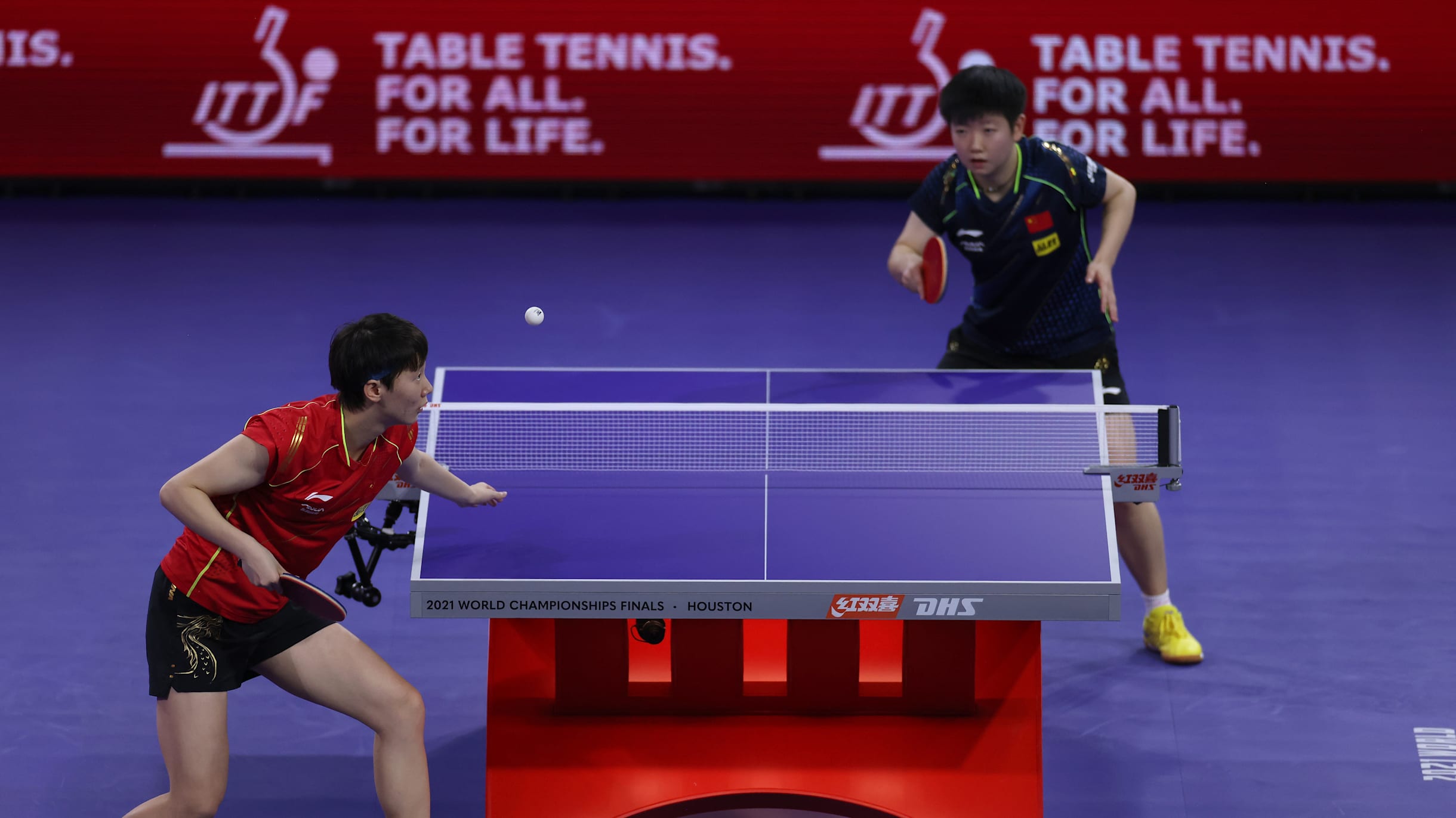 all table tennis live score