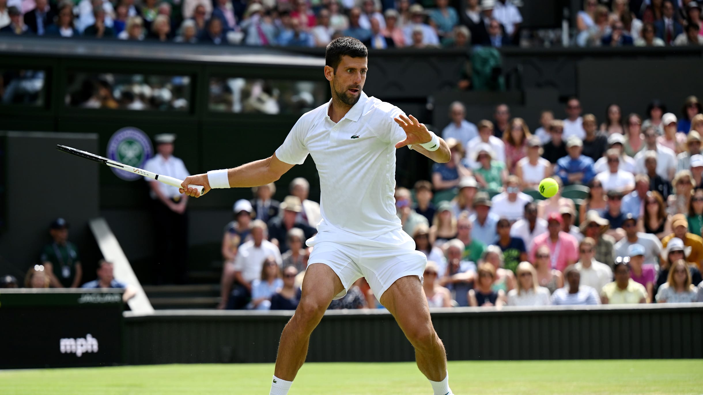 Wimbledon 2023: Carlos Alcaraz through to quarter-finals with impressive  win over Matteo Berrettini - Eurosport