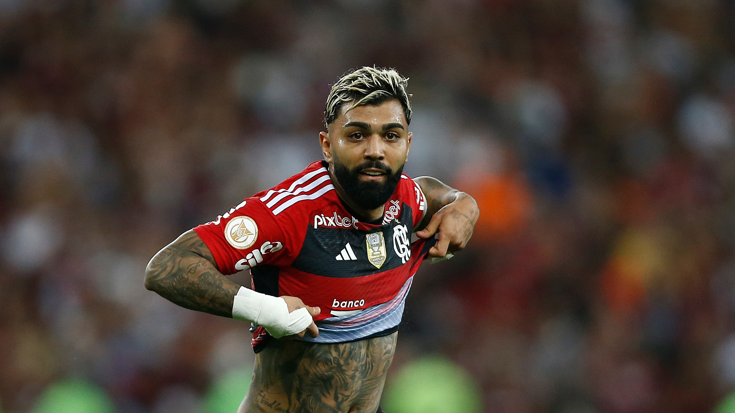 Gabriel Barbosa (Gabigol), Biografia e Wiki