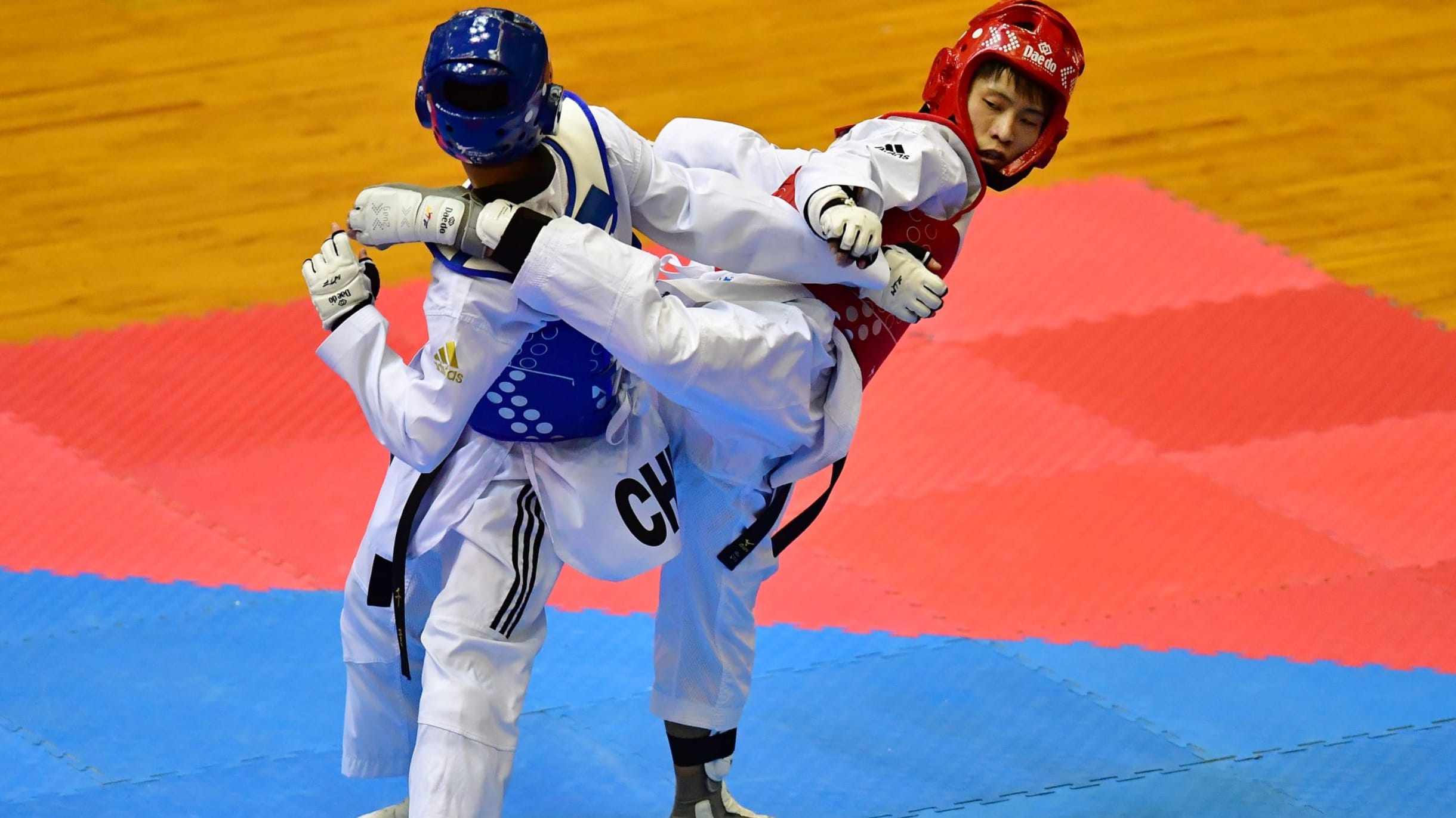 How to Perform a Taekwondo Front Kick: 12 Steps (with Pictures)