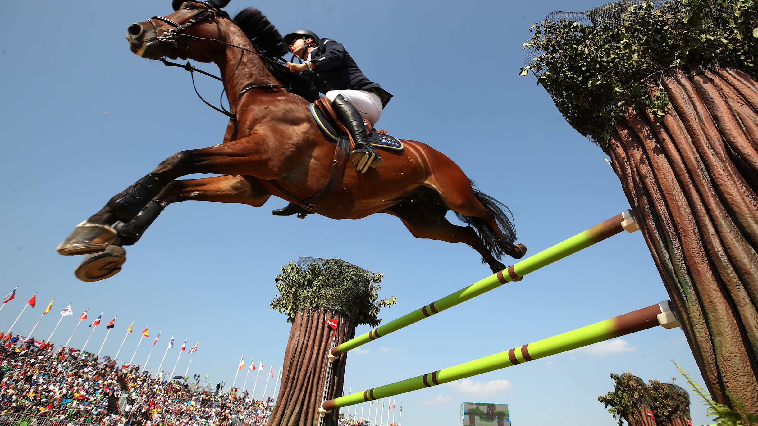 Sports Équestres : Histoire olympique, règles, dernières actualités et  événements à venir pour ce sport olympique