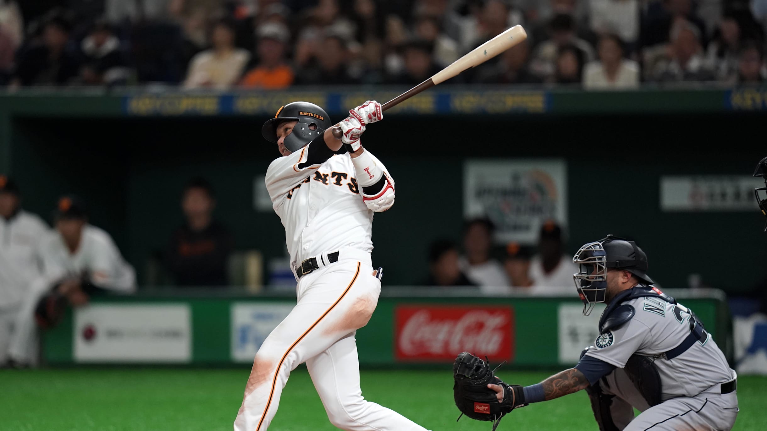 y8023t7p4syydsaziqzi