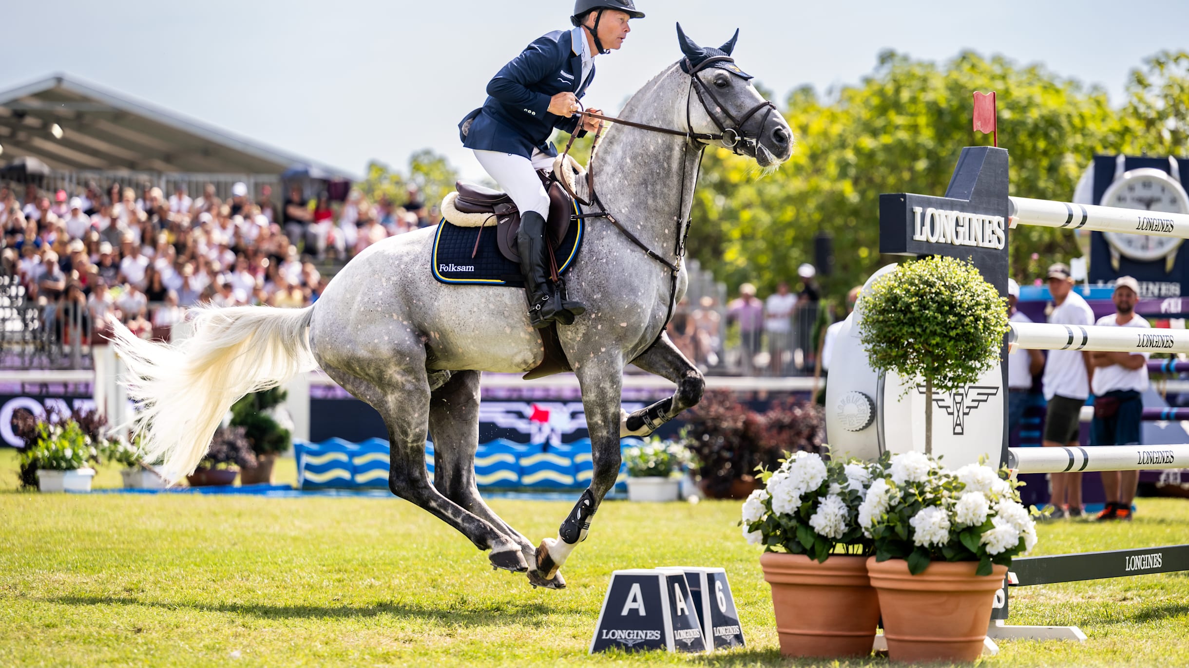 Finale di Coppa delle Nazioni di salto FEI 2023 programma