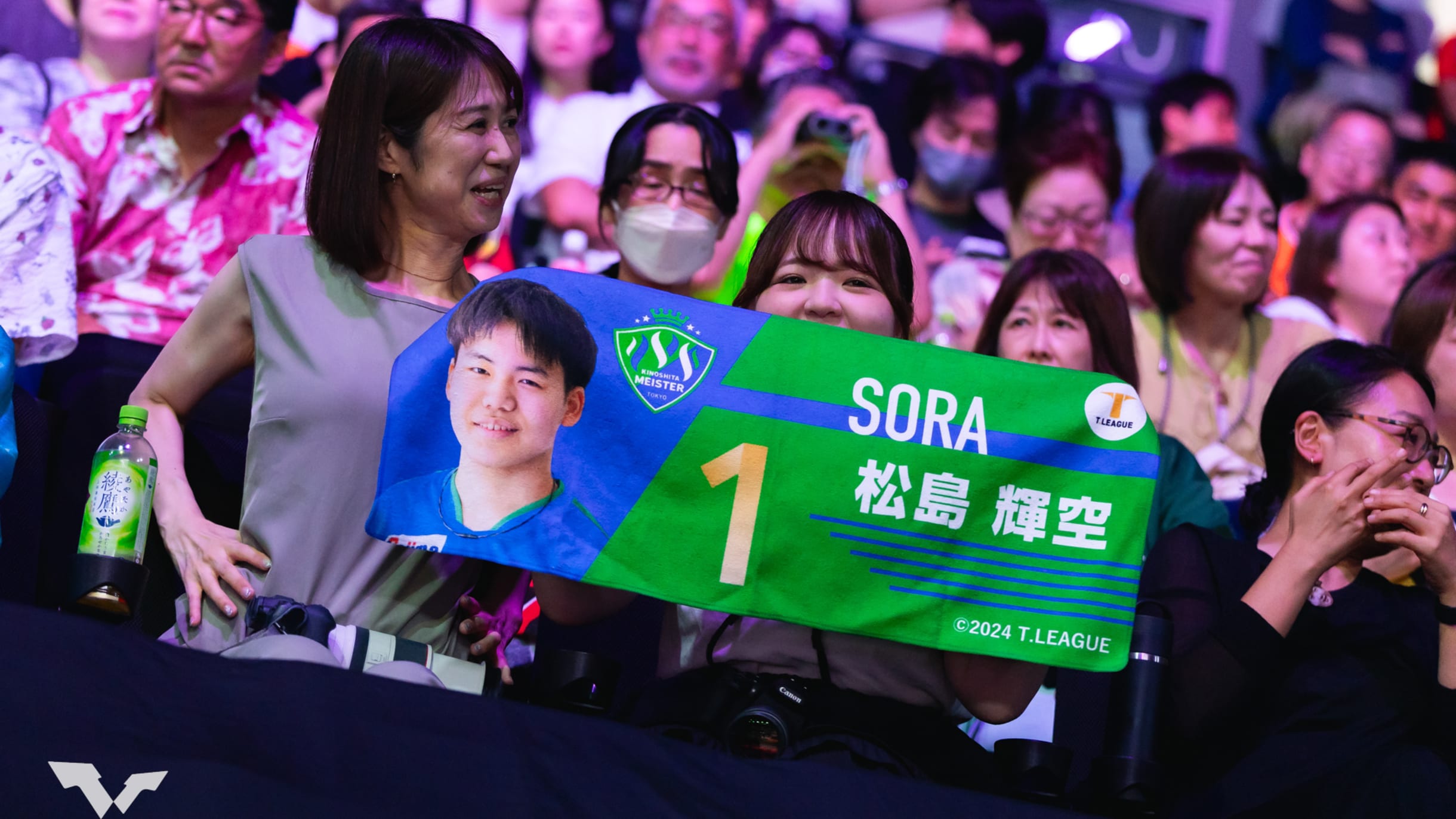 ttqzd9ntcsz1jvwzem8n