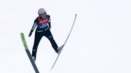 長野オリンピック、パラリンピック　スキー競技リブ 長野オリンピック、パラリンピックスキー競技リブ