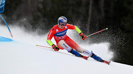 AUGMENT オーグメントGS WORLDCUP 193cm Augment GS WORLD CUP FIS – Alpine Sports