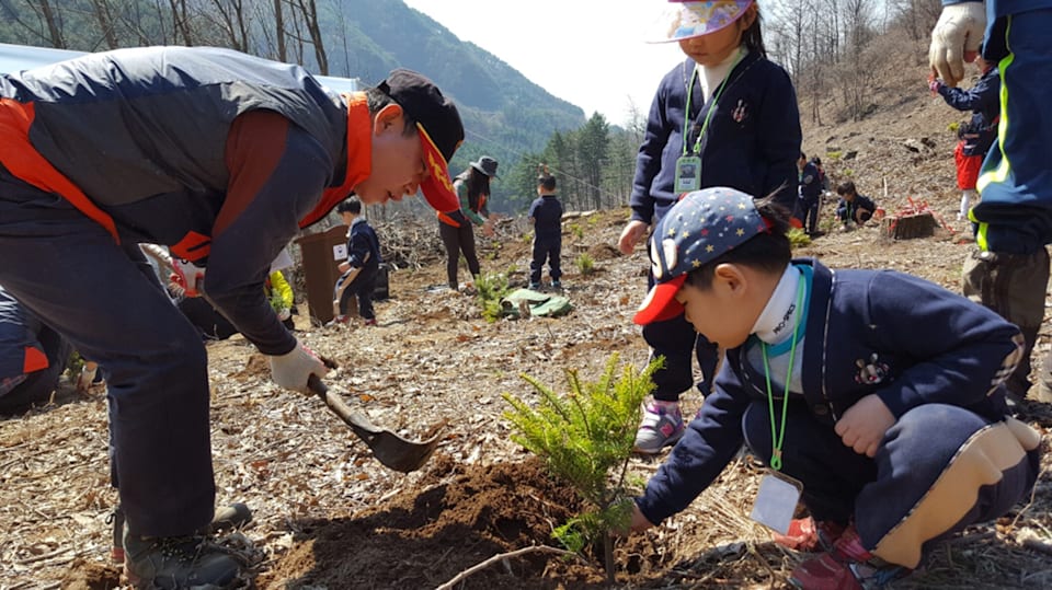 PyeongChang plants trees in celebration of Arbour Day - Olympic News