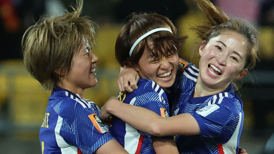 ワールドカップ 日本対セネガル戦 ペアチケット