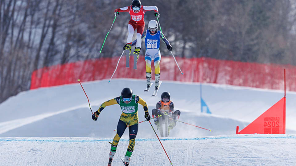 Ski cross on sale