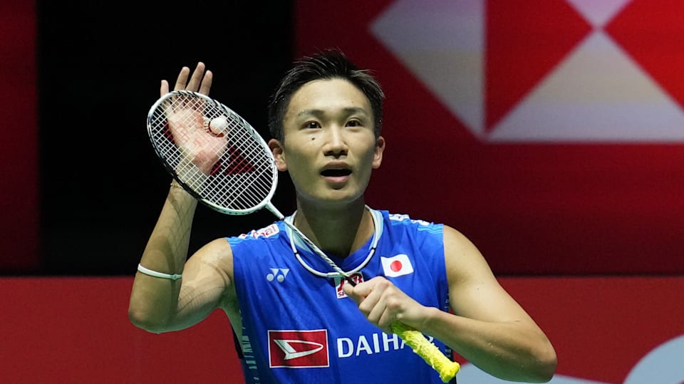 Momota discount
