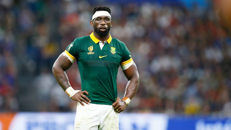 South africa 2025 rugby