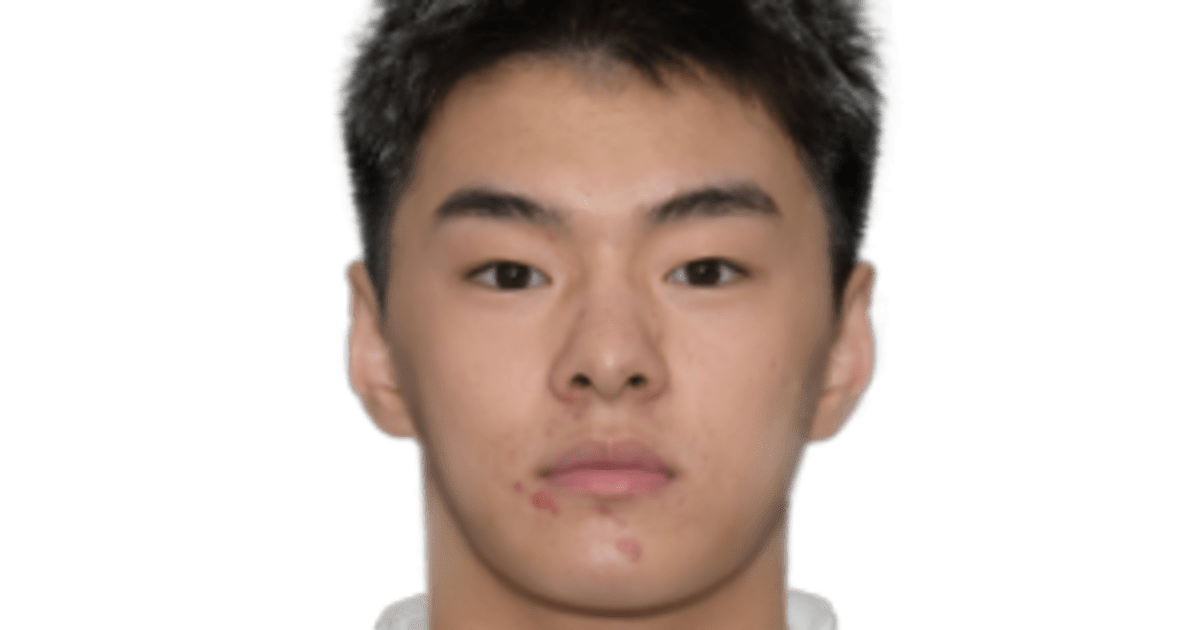 Zisai WANG