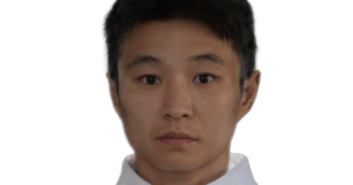 Wenlu YANG