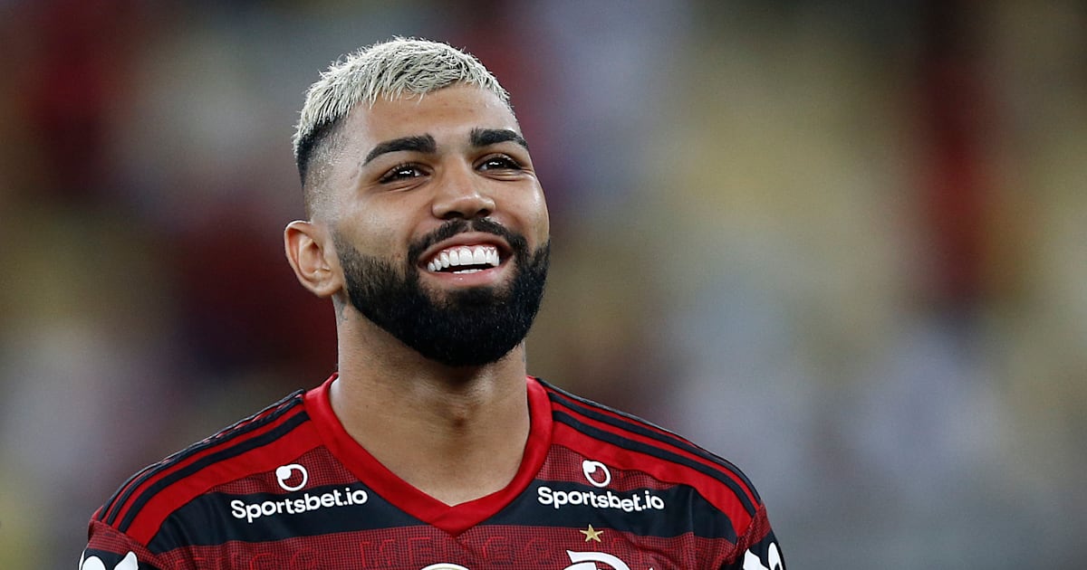 Gabriel Barbosa (Gabigol), Biografia e Wiki