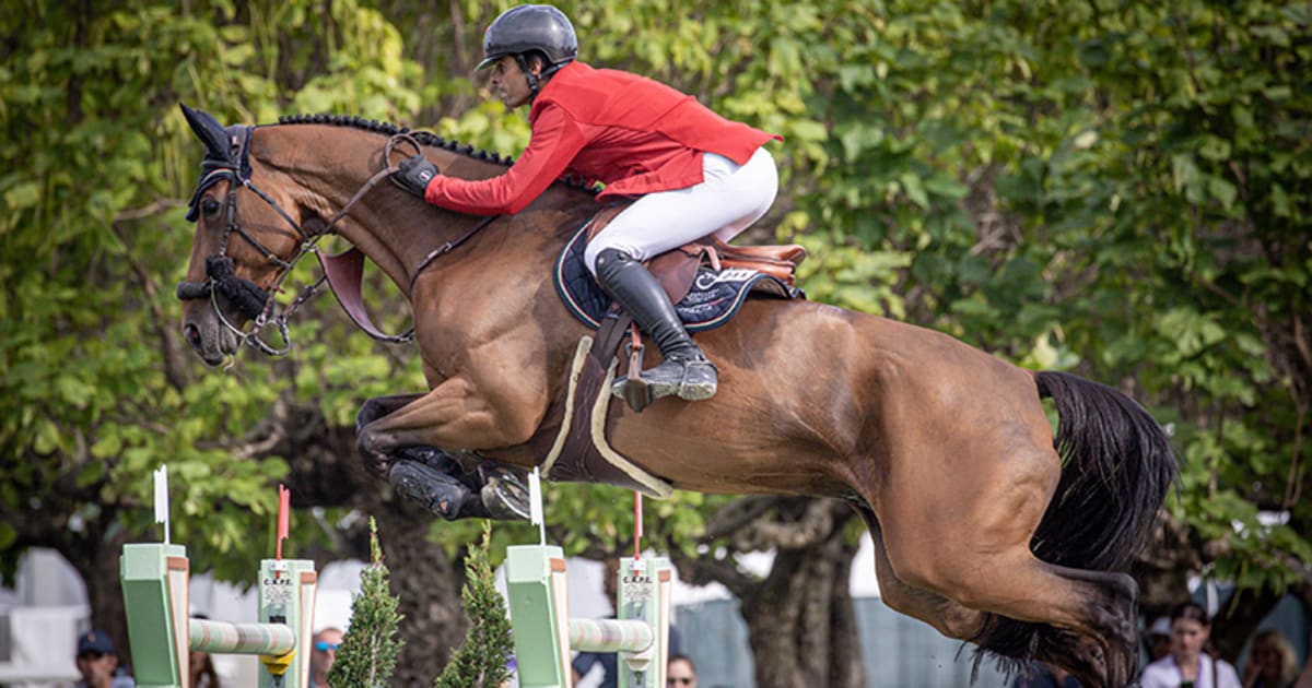 Equitazione l'Italia ottiene una quota Olimpica per Parigi 2024 nella